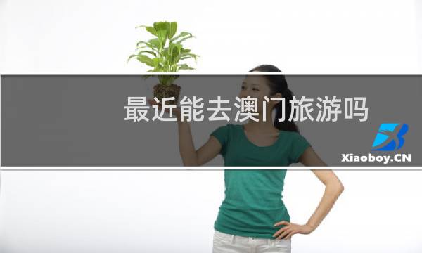 最近能去澳门旅游吗