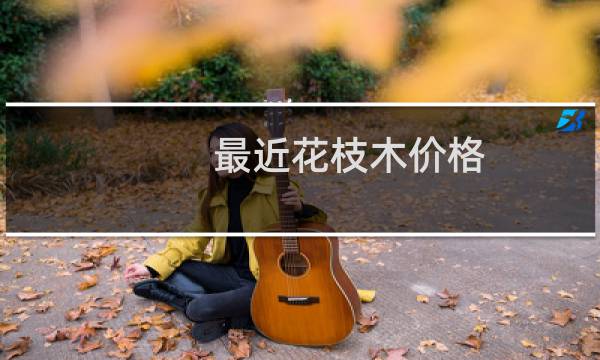 最近花枝木价格