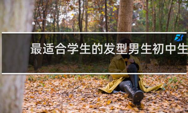 最适合学生的发型男生初中生