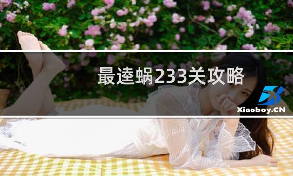 最逵蜗233关攻略
