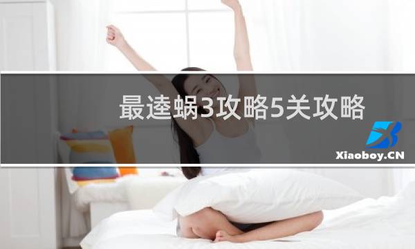 最逵蜗3攻略5关攻略