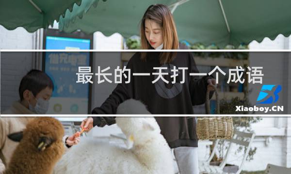 最长的一天打一个成语