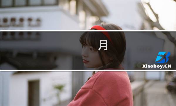 月 攻略