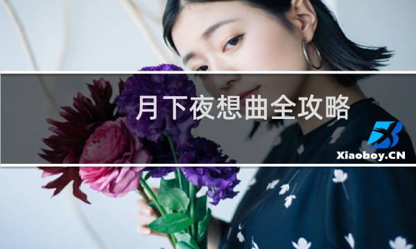 月下夜想曲全攻略