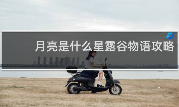 月亮是什么星露谷物语攻略