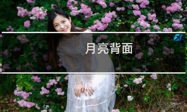 月亮背面 攻略
