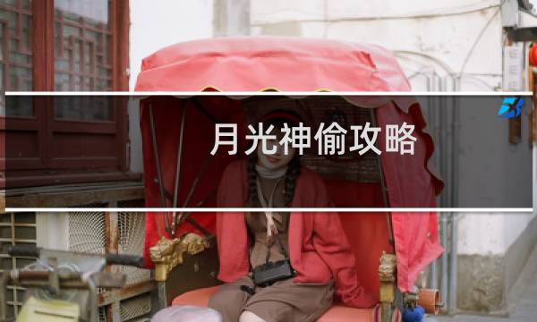 月光神偷攻略