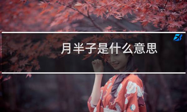 月半子是什么意思