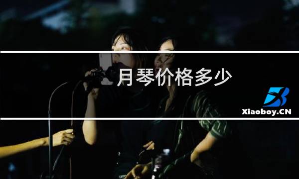 月琴价格多少