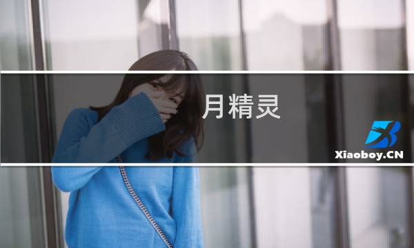 月精灵 攻略