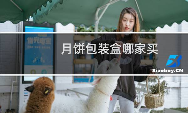 月饼包装盒哪家买