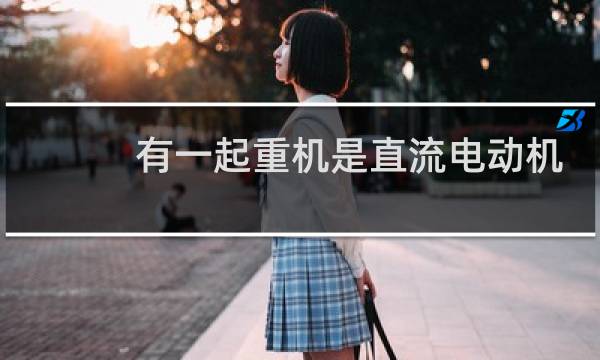 有一起重机是直流电动机
