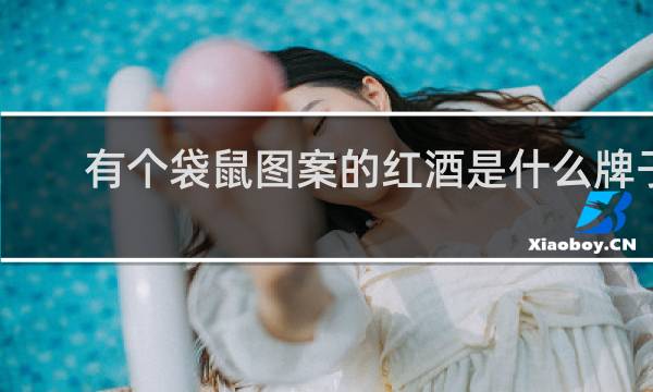 有个袋鼠图案的红酒是什么牌子