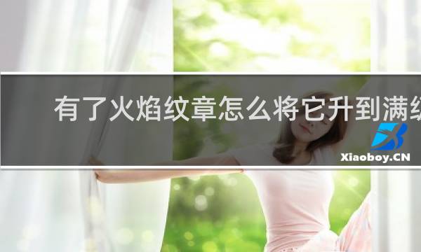 有了火焰纹章怎么将它升到满级