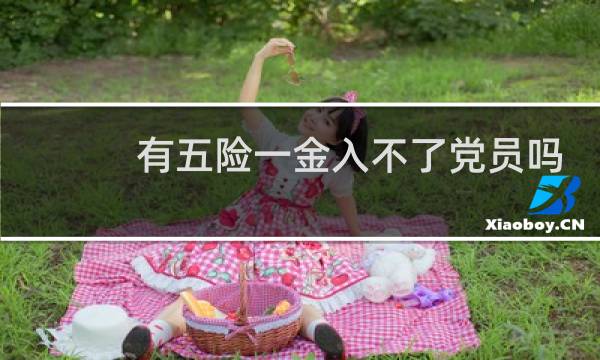 有五险一金入不了党员吗