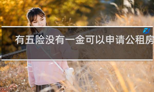 有五险没有一金可以申请公租房吗