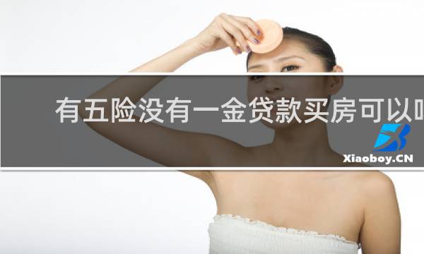 有五险没有一金贷款买房可以吗