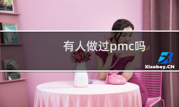 有人做过pmc吗