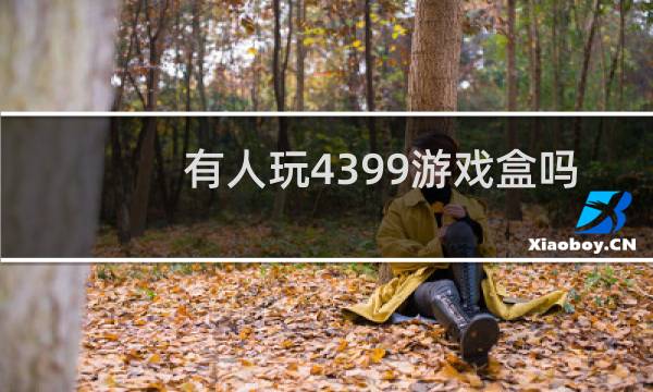 有人玩4399游戏盒吗