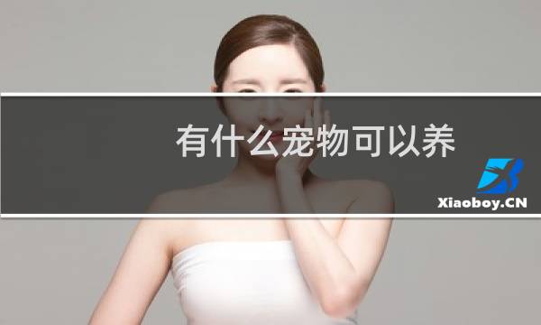 有什么宠物可以养