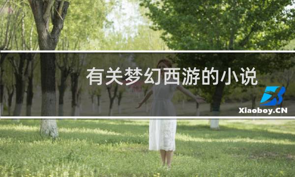 有关梦幻西游的小说
