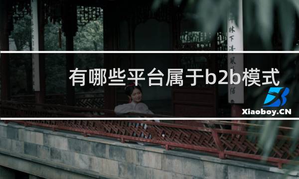 有哪些平台属于b2b模式