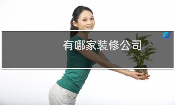 有哪家装修公司