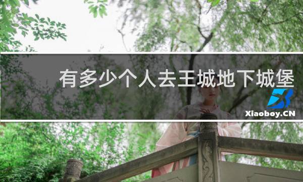 有多少个人去王城地下城堡