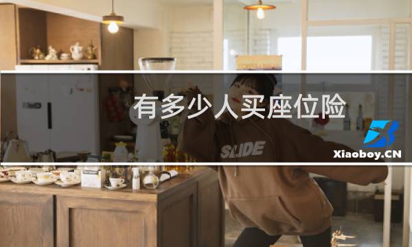有多少人买座位险