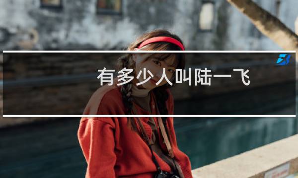 有多少人叫陆一飞