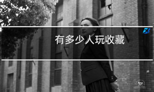 有多少人玩收藏