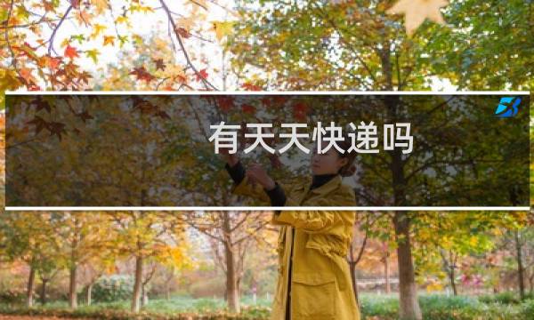 有天天快递吗