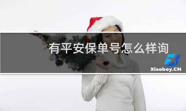 有平安保单号怎么样询