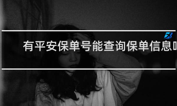 有平安保单号能查询保单信息吗