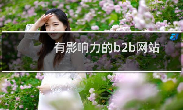 有影响力的b2b网站