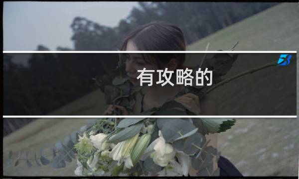 有攻略的