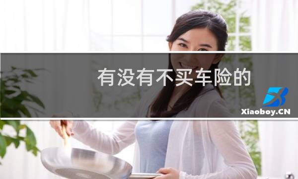 有没有不买车险的