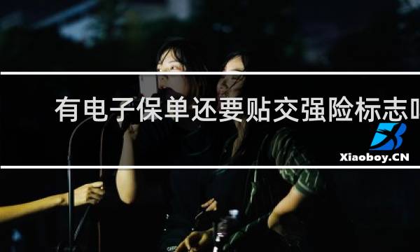 有电子保单还要贴交强险标志吗