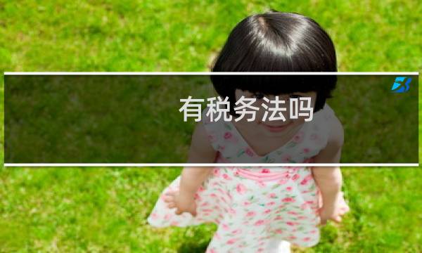 有税务法吗