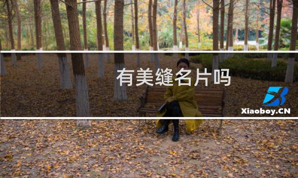 有美缝名片吗