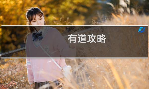 有道攻略