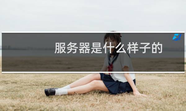 服务器是什么样子的