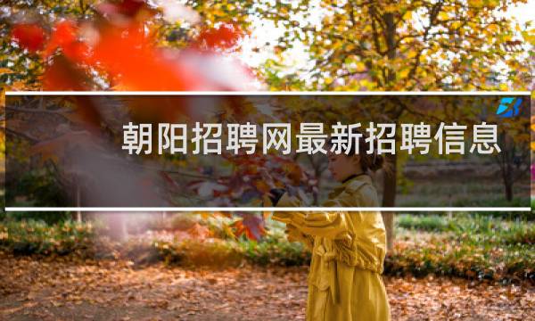 朝阳招聘网最新招聘信息
