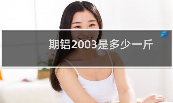 期铝2003是多少一斤