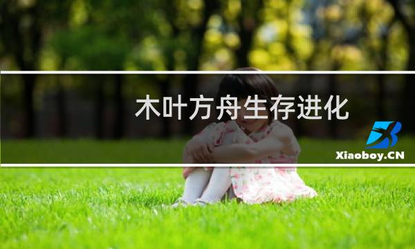 木叶方舟生存进化