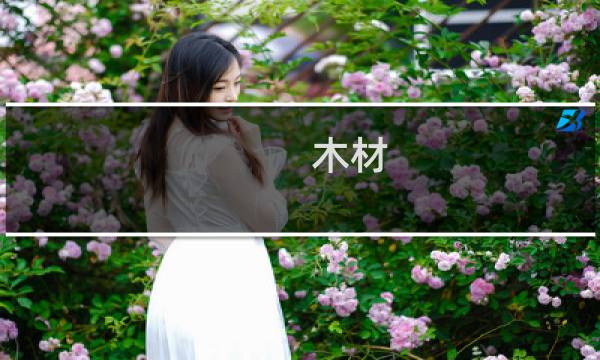 木材 市场 发展