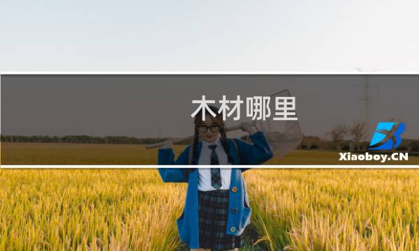 木材哪里