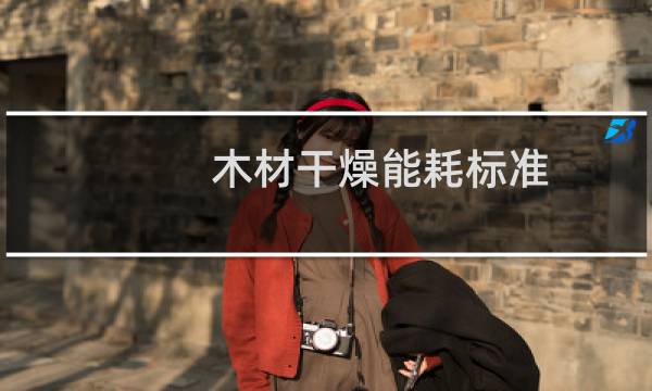 木材干燥能耗标准