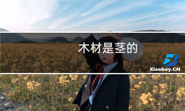木材是茎的
