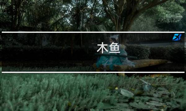 木鱼 方舟生存进化
